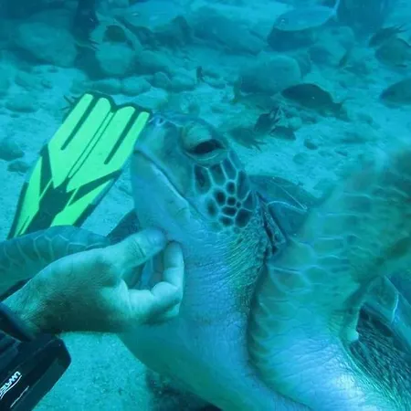 Ocean View The Sunset Адехе