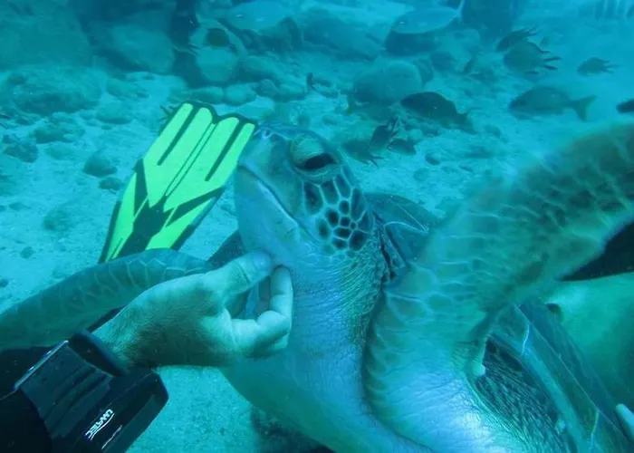 Ocean View The Sunset Costa Adeje (Tenerife)